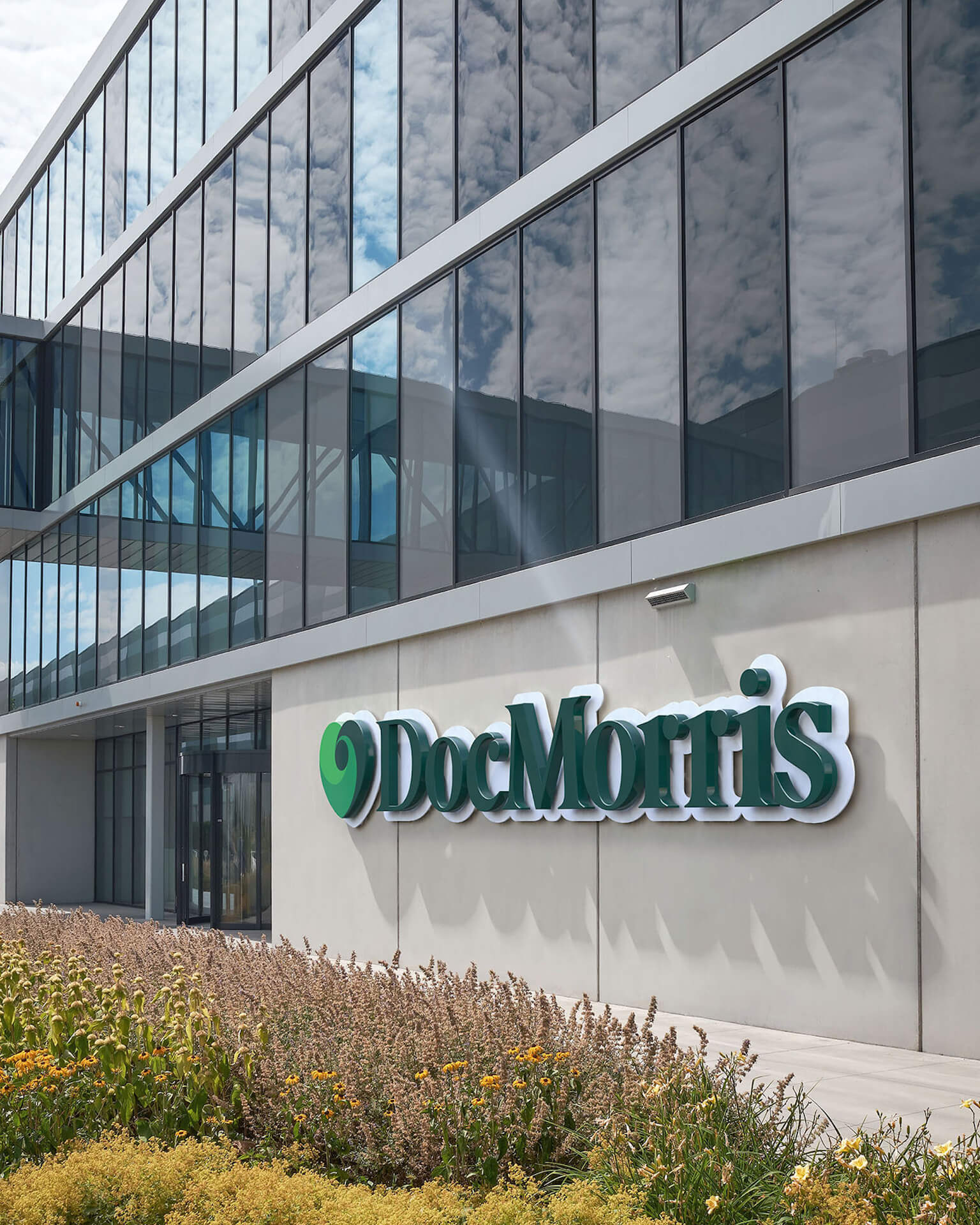 DocMorris